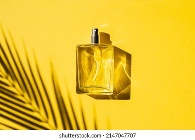 Transparent Bottle Perfume On Background Stone Stock Photo 1796771575 ...