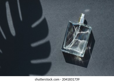 Transparent Bottle Of Perfume On A Dark Grey Background. Fragrance Presentation With Daylight. Trending Concept In Natural Materials With Palm Leaves Shadow. Women's And Men's Essence.