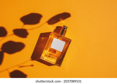 Transparent Bottle Perfume On Orange Background Stock Photo 2037089531 ...