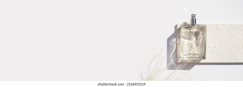 Transparent bottle of perfume on stone plate on a white background. Fragrance presentation with daylight. Trending concept in natural materials with dry plant. Women's and men's essence. - Shutterstock ID 2156931519