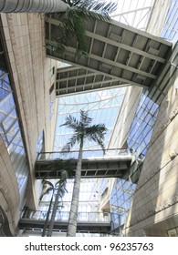 Transparent ceiling and elevated walkway