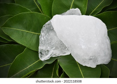 Transparent crystal alum stone or Potassium alum on green leaves. Chemical compound. Concept for beauty and spa treatment and treating body odor under armpits as deodorant and make water to be clear.