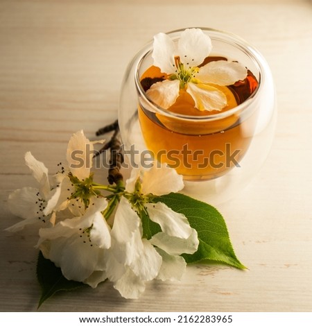 Similar – Cup with acacia blossoms Tea with spoon and honey