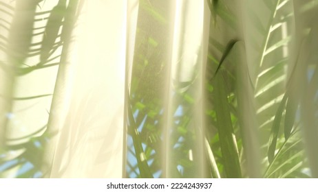 transparent curtain on the window, gently moved by the wind. sunlight. sun's rays shine through the transparent tulle - Shutterstock ID 2224243937