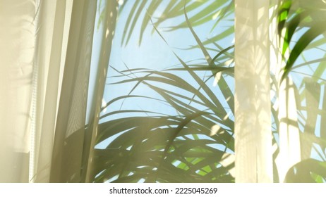 transparent curtain on the window, gently moved by the wind. sunlight. sun's rays shine through the transparent tulle - Shutterstock ID 2225045269