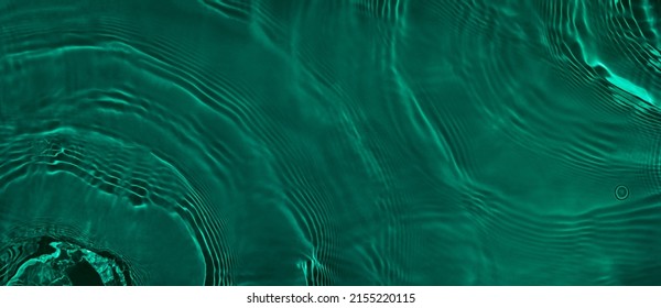 Catkins on The Surface 3dRose Alexis Photography T-Shirts Texture Water Emerald Green Water of an Old Pond in Spring