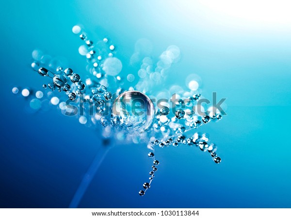 タンポポのマクロフラワーに透明な水滴 きらめく水滴 美しい明るい青の花柄の背景 驚くほど驚くべき自然のカラフルな芸術的イメージ の写真素材 今すぐ編集