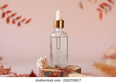 Transparent glass cosmetic dropper bottle standing on wooden disk with dry flowers and leaves on beige background. Autumn composition. Concept of natural and organic skincare products presentation - Powered by Shutterstock