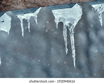 Transparent icicles hanging from the roof in winter.