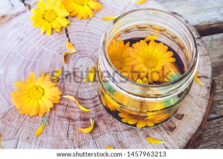 Transparent jar of calendula tincture with a fresh plant of calendula officinalis. Extract of tincture of calendula. Medicinal plants.
