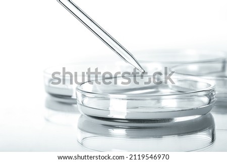 Transparent liquid gel in petri medical dish with pipette.