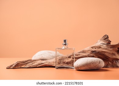 Transparent perfume bottle near the aged weathered wooden snag and stones. Perfume with woody notes concept. Background with copy space.