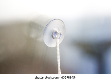 Transparent plastic suction Cup glued to the window