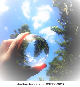 Transparent Round Ball Trees Shining Through Stock Photo 2083306900 ...