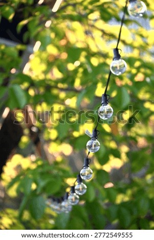 Transparent round string lights diagonal across frame, warm white glow against lush green foliage, shallow depth of field, low angle shot, Huashan 1914 Park Zhongzheng Taipei.