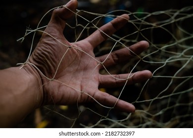 Transparent safety net in man's hand. Protective net for children and pets. Made of nylon thread.