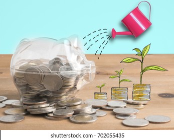 transparent see through piggy bank filled with coins on wood background.Saving investment colorful concept.Tree idea sketch cartoon style.Watering can and money tree drawn .
 - Powered by Shutterstock