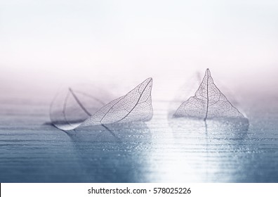 Transparent skeleton leaves in the form of ships at sea at sunrise in a fog on blue and pink background. Romantic artistic image close-up macro. Template  border wallpaper for travel dreams