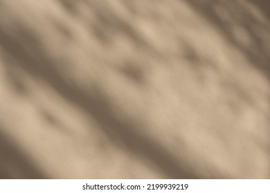Abstract shadow foliage wall