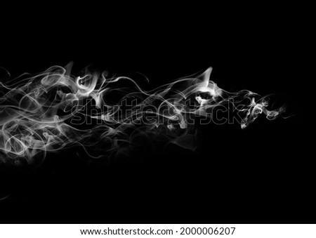 Transparent special effect stands out with fog or smok