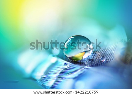 Transparent turquoise drop of pure water on feather, blurred blue background, macro. Elegant expressive artistic image fragility of nature. Copy space. Concept of sensitivity responsiveness to nature.