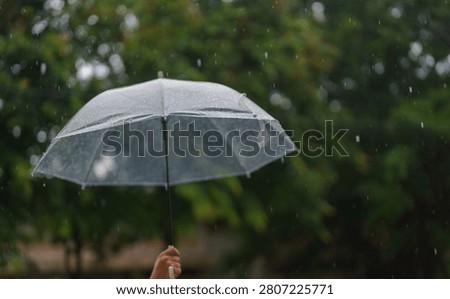 Transparent umbrella shielding from falling rain against a blurred green background,  Rainy weather, protection, safety, climate change, storm preparedness, and seasonal rainfall.