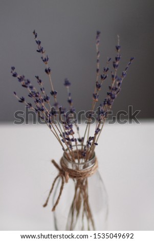 Similar – #A# Lavender on the table