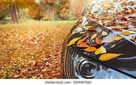 Transport, Autumn, Weather, Vehicle Concept. Car Is Near The Park On Autumnal Day. Yellow Leaves Fall On The Car. Nature Background. Copy Space. An Empty Place For Your Message. Selected Focus.
