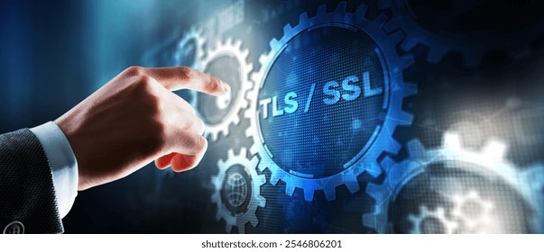 Transport Layer Security. Secure Socket Layer. TLS SSL. Mixed Media.