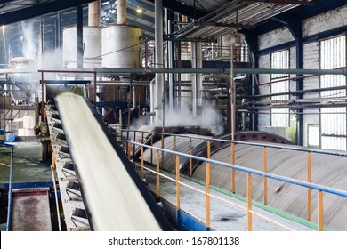 Transport Of Sugar On The Production Line 