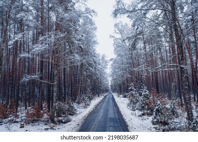 Transport in winter. Asphalt road through snowy forest.Aerial view of nature in Poland