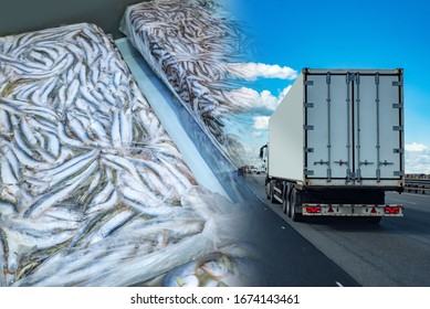 Transportation Of Frozen Food. A Refrigerator Truck Transports Frozen Seafood. Fish Briquettes On The Background Of A Truck. Logistics In The Fishing Industry.