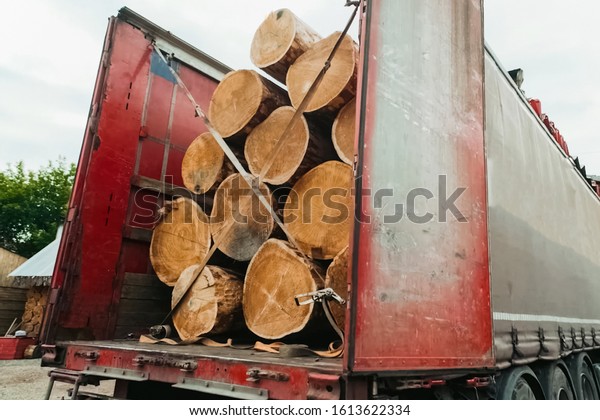 Transportation of pine logs in a truck.\
Wood\
transportation.
