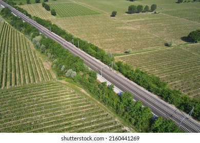 Transportation railway in Italy drone view. Railroad between vineyards diagonally aerial view.