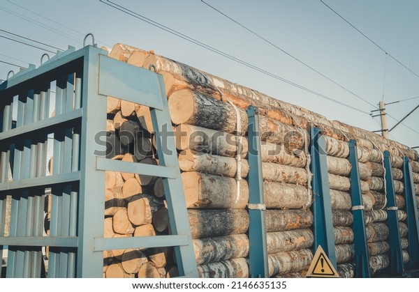 Transportation
of timber by rail. Railway special freight car loaded with logs.
Timber export from Russia. Selective
focus