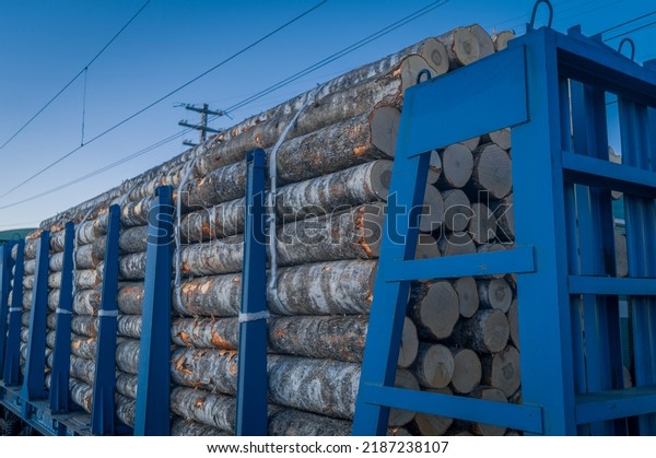 Transportation\
of timber by rail. Railway special freight car loaded with logs.\
Timber export from Russia. Selective\
focus
