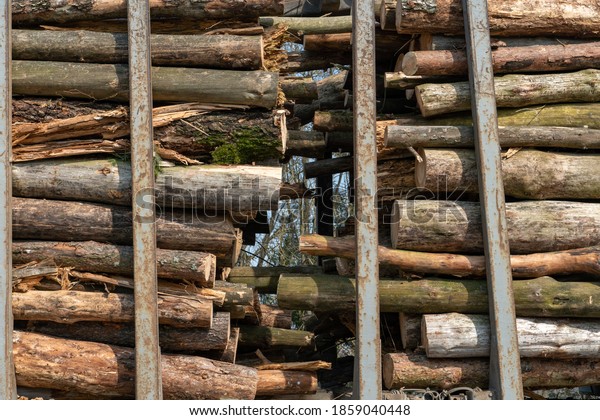 Transportation of wood on a truck with a trailer on the\
highway. Industrial truck for transporting timber. Renewable\
natural resources. timber machine. Timber export and shipping\
concept. 