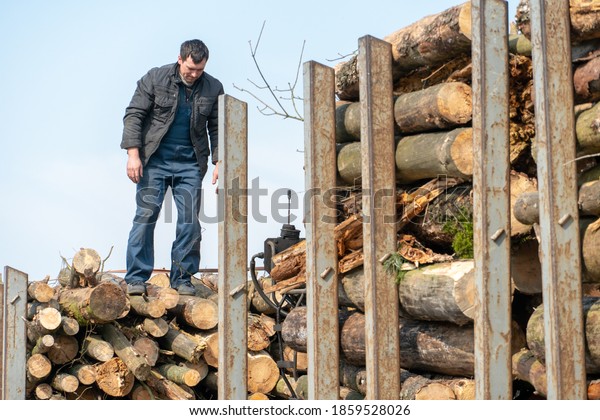Transportation of wood on a truck with a trailer.\
The driver fixes the logs on the trailer industrial truck for\
transporting timber. Accident while transporting timber. fallen\
logs on the\
road.