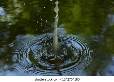 Transverse Wave On The Water.