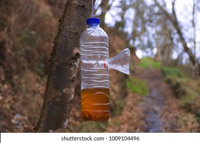 plastic bottle trap