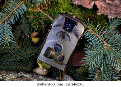 Trap Or Hunting Camera With Infrared Light And A Motion Detector On The Forest Floor