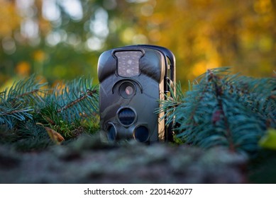 Trap Or Hunting Camera With Infrared Light And A Motion Detector On The Forest Floor