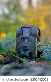 Trap Or Hunting Camera With Infrared Light And A Motion Detector On The Forest Floor