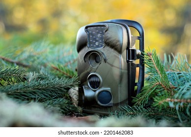 Trap Or Hunting Camera With Infrared Light And A Motion Detector On The Forest Floor