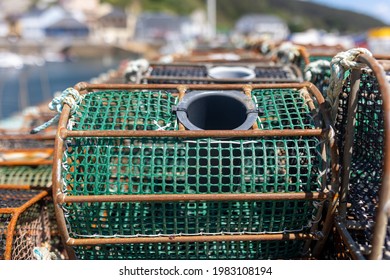 Traps for seafood, octopus and squid fishing