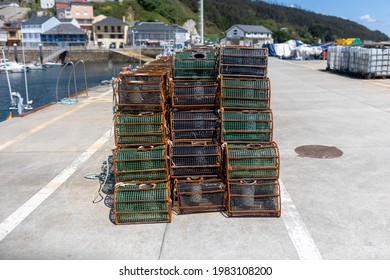 Traps for seafood, octopus and squid fishing
