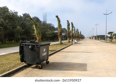 Trash bin standing on an empty urban promenade lined with tied palm trees in foggy weather