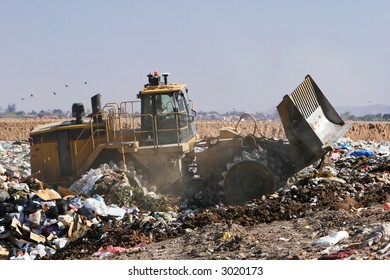A trash compactor moves trash in a landfill. The stench is amazing!