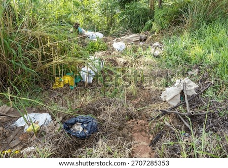 Trash droped in the forest floor.