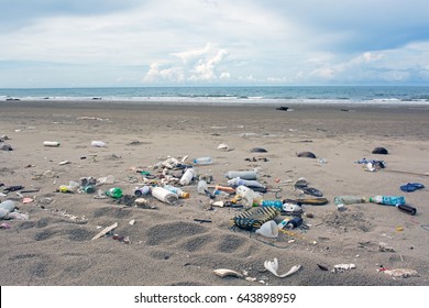 Trash on the Beach